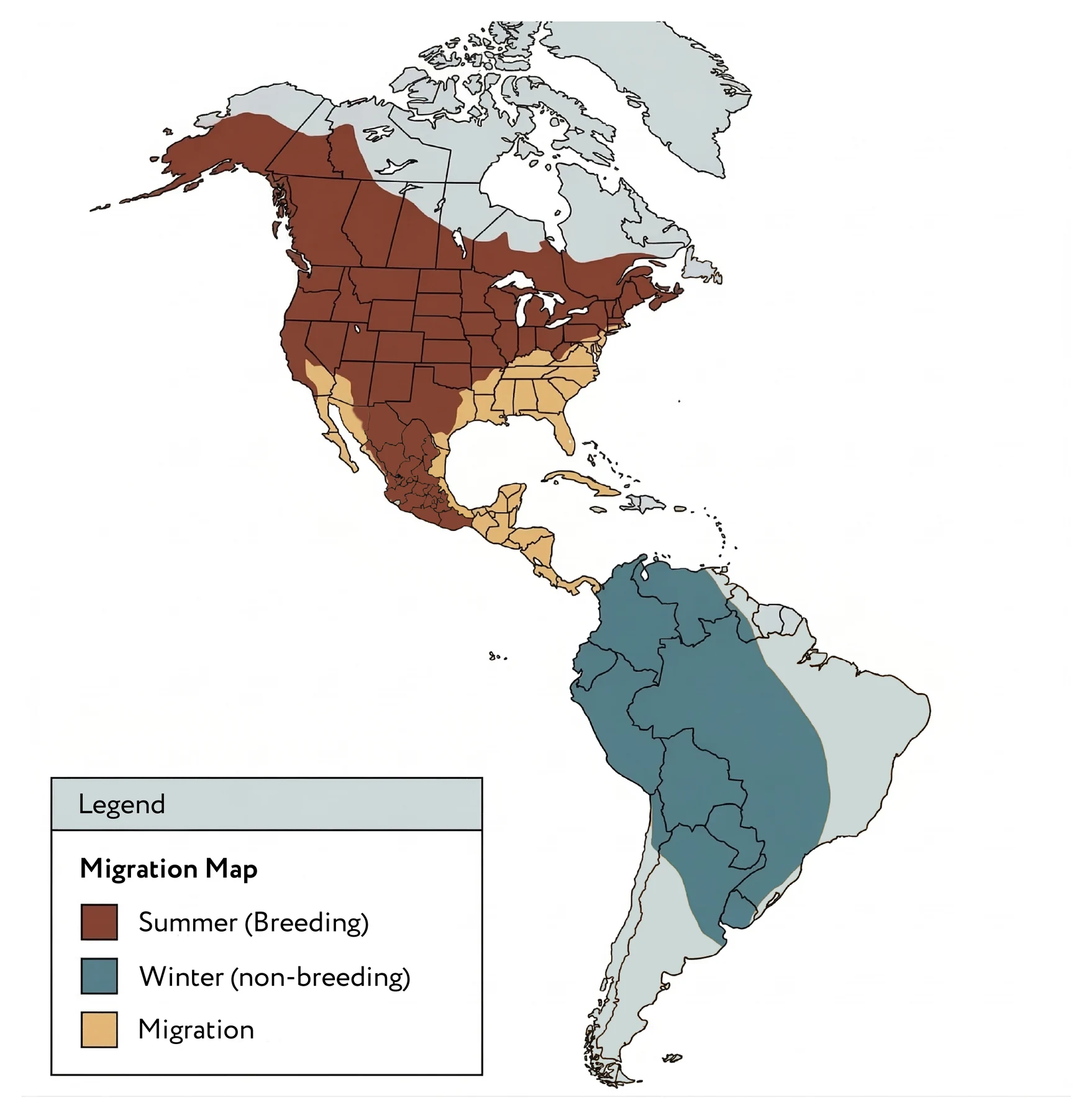 Map of the Americas shading the cliff swallow's breeding range across North America, its migration route through Central America and its winter range in South America.